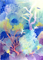 Coral Reef Dreams 1