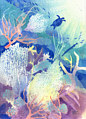 Coral Reef Dreams 2