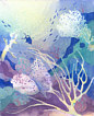 Coral Reef Dreams 4