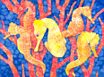 Seahorse Heaven